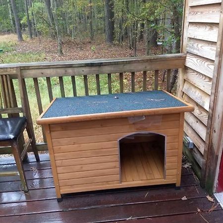 Rustic Quaint Cabin In The Woods--Pets Welcomed Dunnsville Eksteriør billede