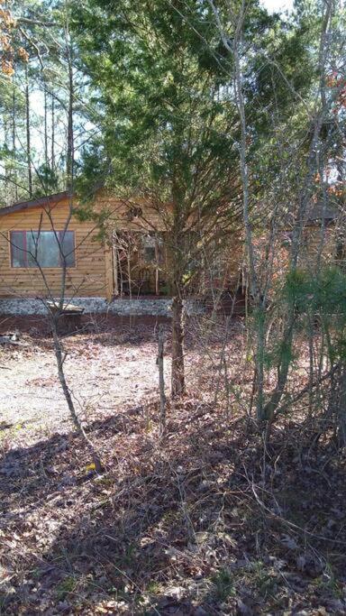 Rustic Quaint Cabin In The Woods--Pets Welcomed Dunnsville Eksteriør billede