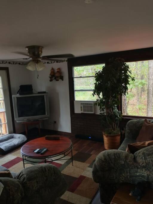 Rustic Quaint Cabin In The Woods--Pets Welcomed Dunnsville Eksteriør billede