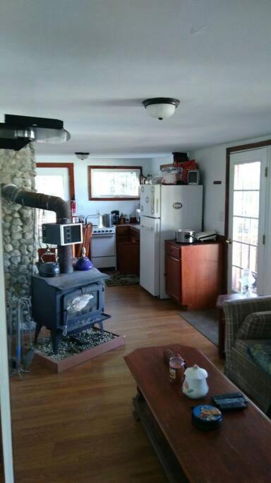 Rustic Quaint Cabin In The Woods--Pets Welcomed Dunnsville Eksteriør billede