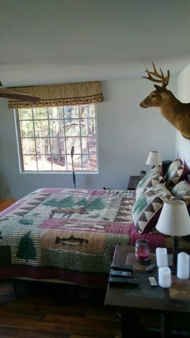 Rustic Quaint Cabin In The Woods--Pets Welcomed Dunnsville Eksteriør billede